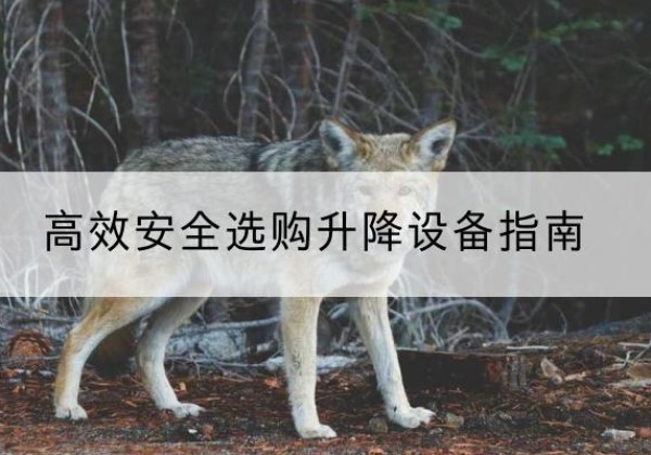 延吉升降货梯厂家推荐-*安全选购升降设备指南