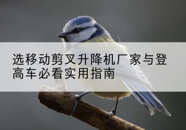 延吉电动升降机厂家-选移动剪叉升降机厂家与登高车必看实用指南