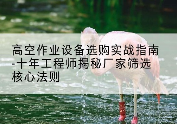 延吉剪叉式升降机厂家-高空作业设备选购实战指南-十年工程师揭秘厂家筛选核心法则